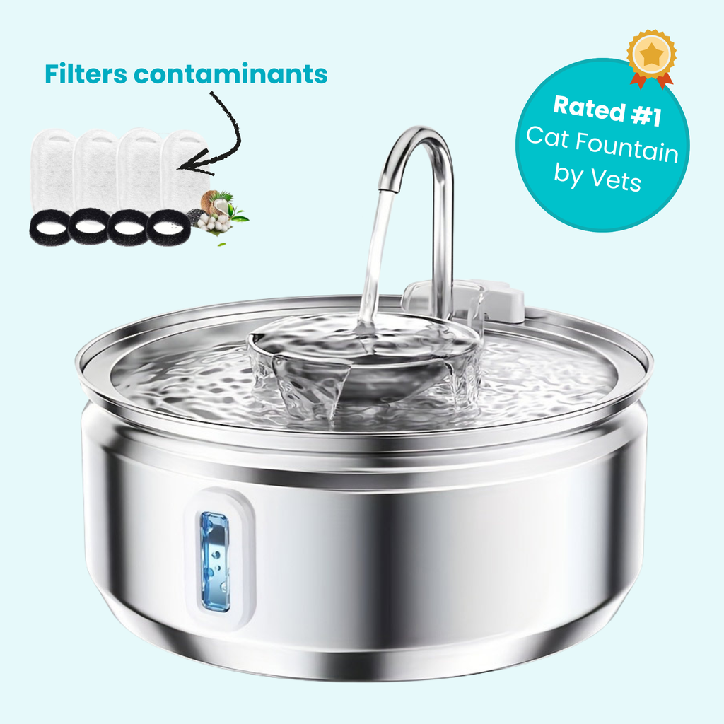 The Dripurr Health & Happiness Cat Fountain Kit