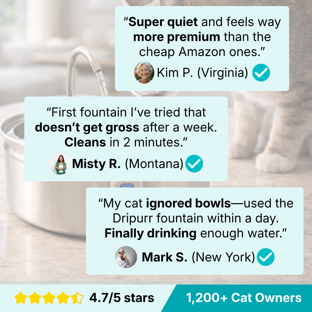 The Dripurr™ Health & Happiness Cat Fountain Kit