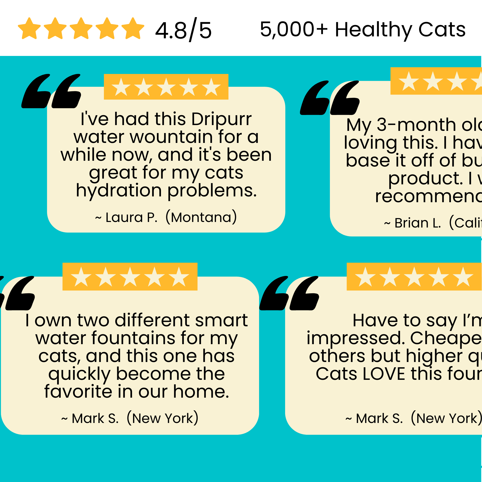 The Dripurr Health & Happiness Cat Fountain Kit